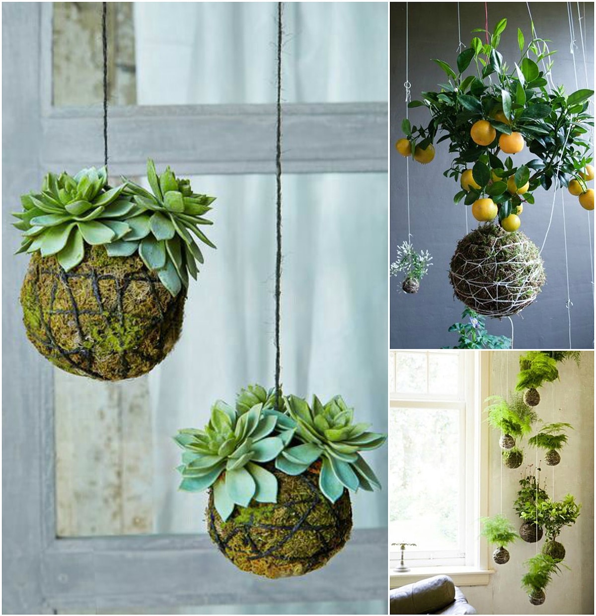 Create Your Very Own Hanging String Garden With This Do-It-Yourself (Diy) Project.