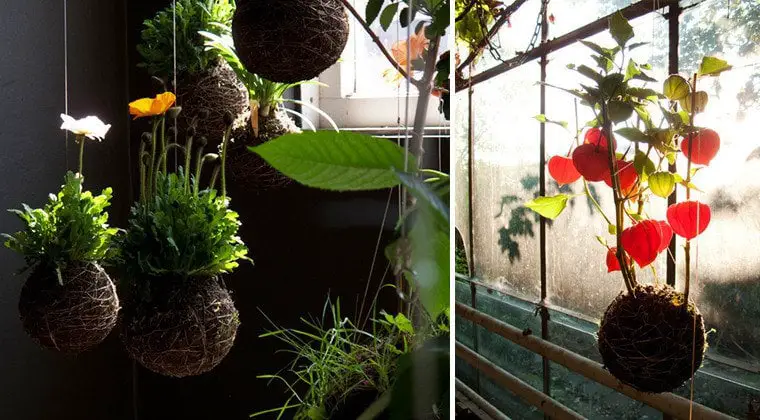 Create Your Very Own Hanging String Garden With This Do-It-Yourself (Diy) Project.